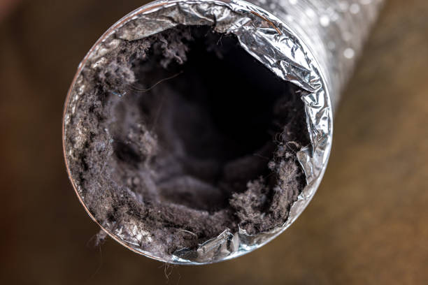 Best Affordable Air Duct Cleaning  in Rose Lodge, OR